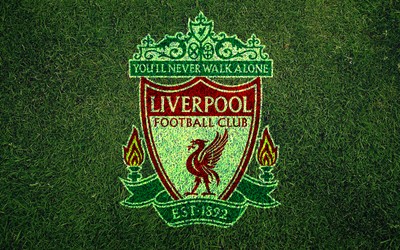 IM电竞焦点-他的冷静超出年龄