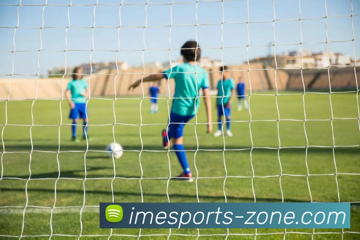 IM电竞专区服务体系